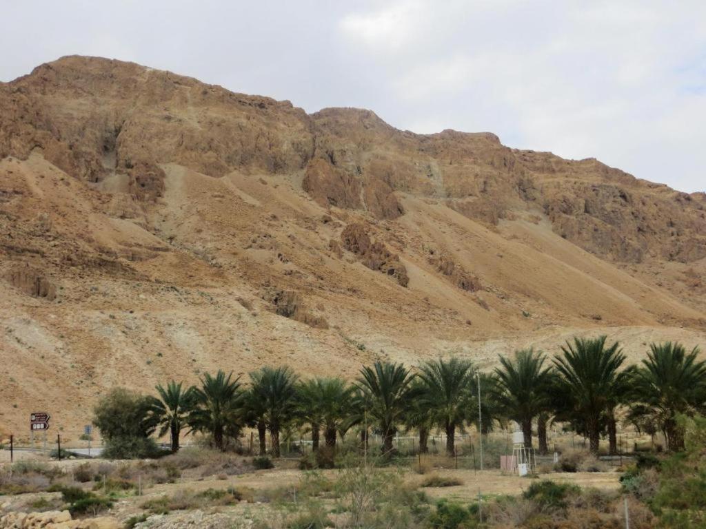Ein Gedi Rooms Neve Zohar Extérieur photo